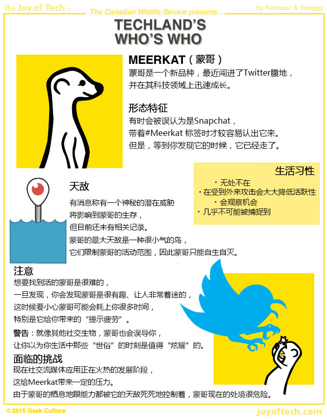 不和你玩了，Twitter封殺直播應(yīng)用Meerkat