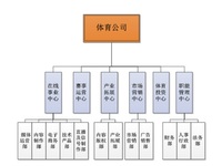 繼樂視體育后，PPTV也分拆體育公司