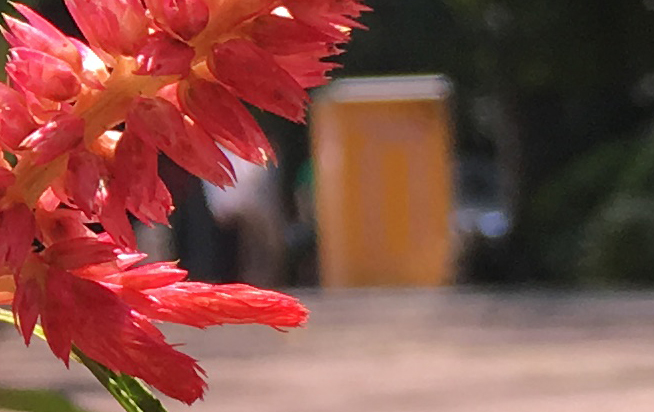 拍照差別大嗎？iPhone 6s Plus對比iPhone 6 Plus