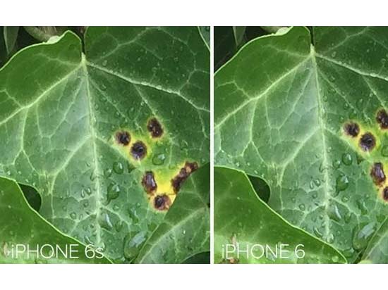 競爭真大！iPhone6s不再是移動拍照之王？