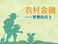 農(nóng)村電商進(jìn)展緩慢，互聯(lián)網(wǎng)金融成撬動杠桿？