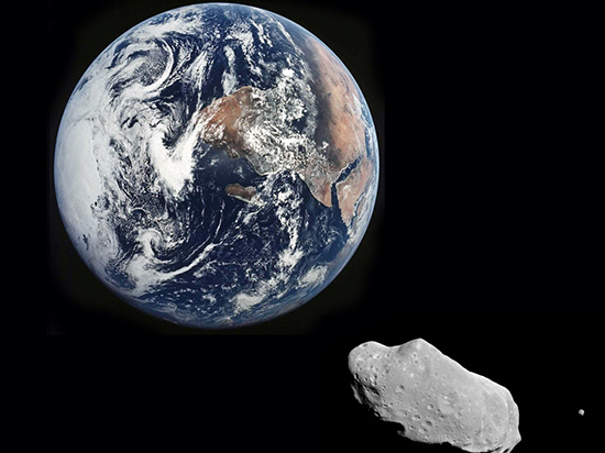 我們會被小行星撞擊毀滅嗎？還是擔心你身邊的狗狗吧