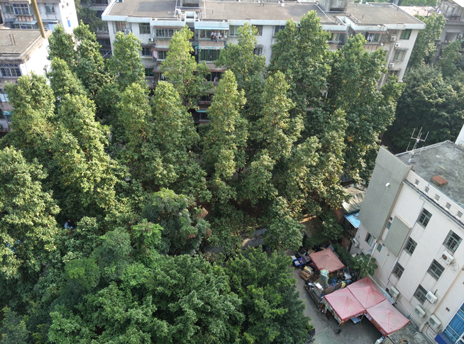 雙攝比安全更亮眼 360奇酷手機(jī)極客版測評(píng)