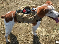 太給力！搜救犬也有智能背心了