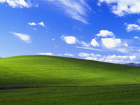 Windows XP經(jīng)典壁紙20周年了 你不會沒見過