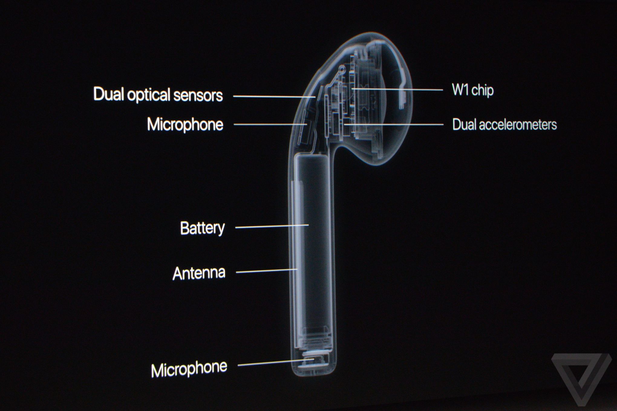 蘋(píng)果秋季發(fā)布會(huì)：除了iPhone 7還有表 就是有點(diǎn)“黑”