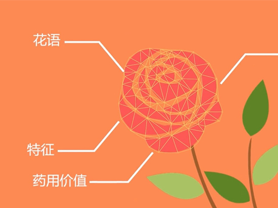 如何認(rèn)出花名？微軟識(shí)花一鍵搞定