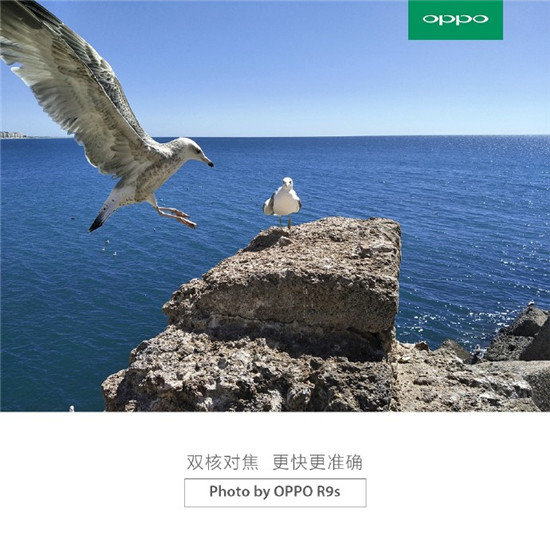 香菇，藍瘦？這些國產(chǎn)王“炸”比Boom7耀眼