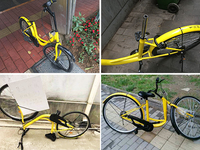 ofo小黃共享單車慘死百態(tài) 國民素質哪里尋？