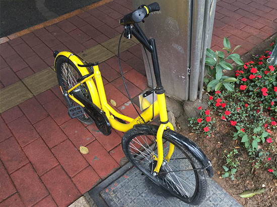 ofo小黃共享單車慘死百態(tài) 國民素質(zhì)哪里尋？