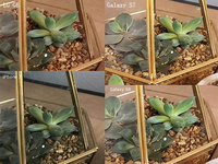 熱騰騰的機皇拍照對決！三星S8和iPhone 7你選誰