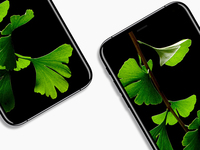 科客晚報(bào)：iPhone 8渲染圖超驚艷 小米6采用四曲面設(shè)計(jì)？