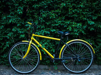 299元押金可騎8種共享單車？ofo回應(yīng)：正在封禁