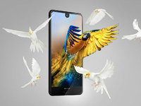 搶先蘋果推異形全面屏，夏普AQUOS S2驚喜發(fā)布