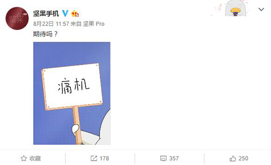 定制機玩上癮了？堅果Pro銀魂版今夜降臨