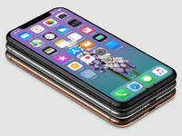 蘋果iPhone X定妝照出爐！搶到腮紅金新配色就是賺