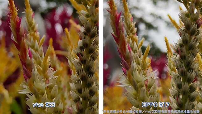 OPPO R17對比vivo X23：拍照清晰度與夜景表現(xiàn)完美超越X23