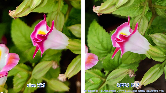 OPPO R17對比vivo X23：拍照清晰度與夜景表現(xiàn)完美超越X23