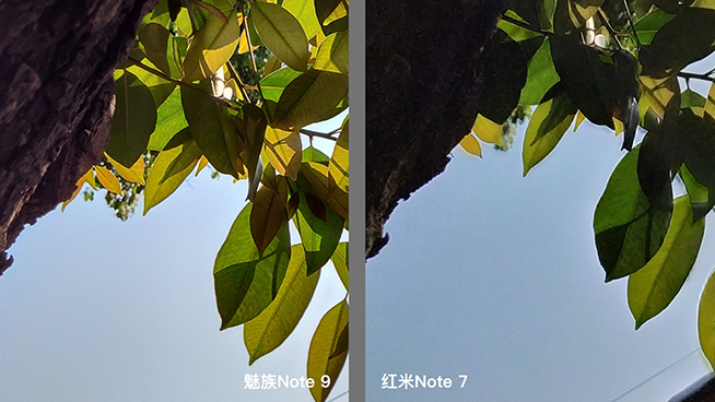 熱門千元機對比：紅米Note 7外觀取勝，魅族Note 9拍照更好