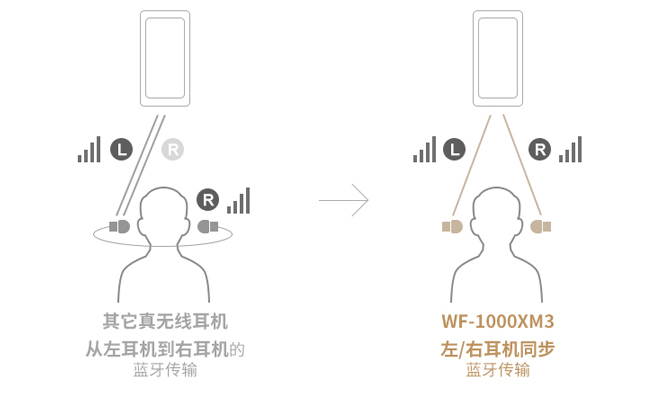 索尼全新“降噪豆”發(fā)布：雙傳輸低延遲  國行售價1699元