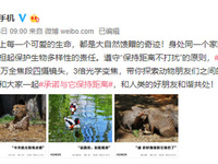 聚焦野生動物保護(hù) 榮耀30系列聯(lián)合倡議用長焦守護(hù)地球上的朋友們