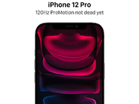 頂配獨(dú)享120Hz屏？蘋(píng)果iPhone 12 Pro Max真安排上了