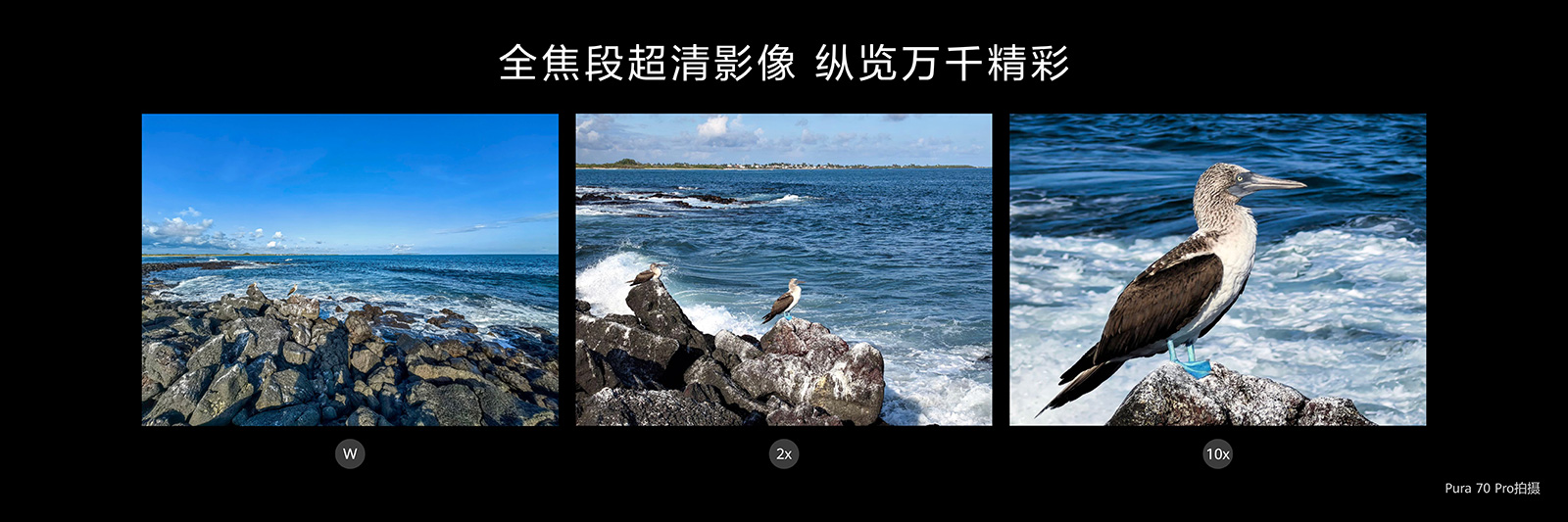 幾分鐘解決糾結(jié)癥！618大促華為Pura 70系列推薦，誰(shuí)是你的C位？
